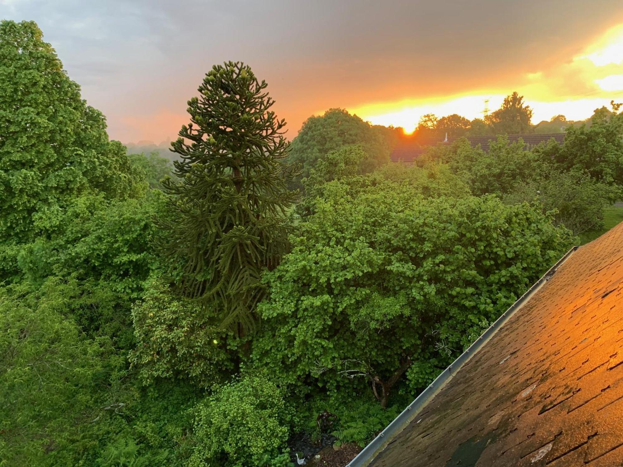 Le Petit Manoir Panzió Isigny-le-Buat Kültér fotó
